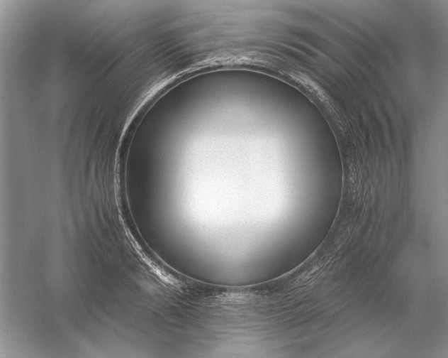 X0000056000894200509092043