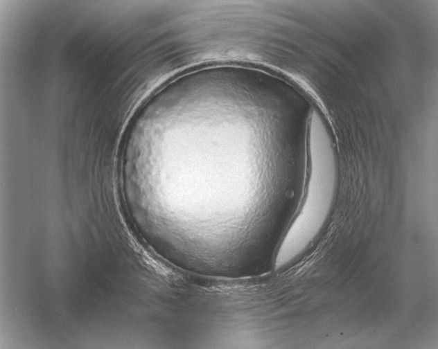 X0000056000895200509092043