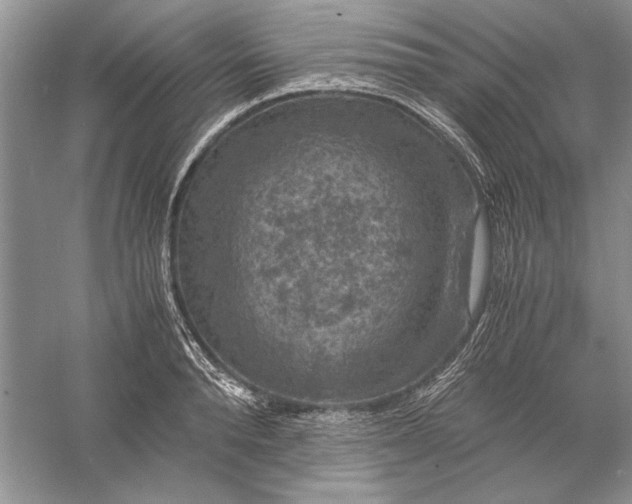 X0000056000896200509092043