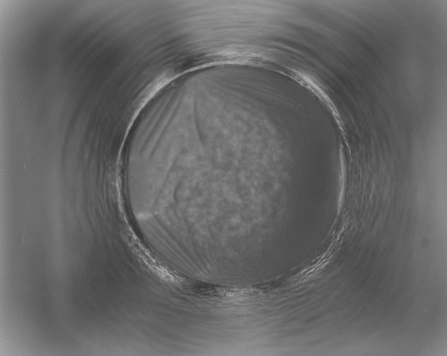 X0000056000899200509092043