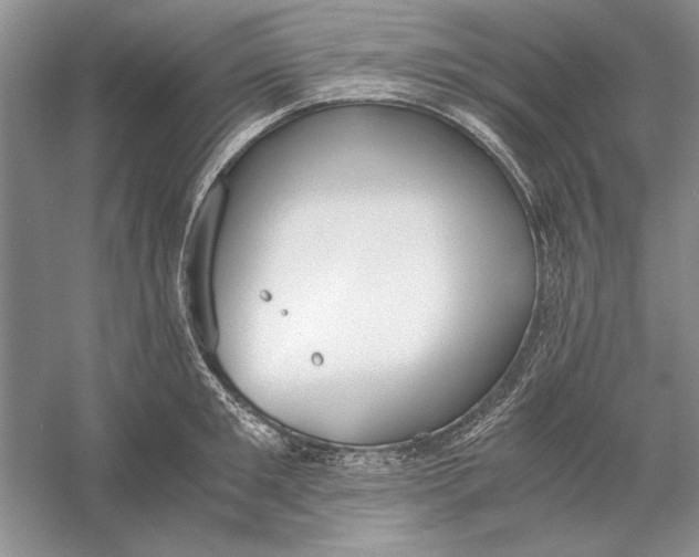 X0000056000901200509092042