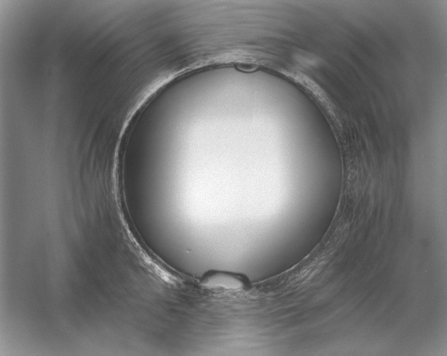 X0000056000902200509092042