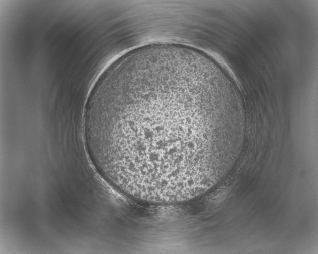 X0000056000903200509092042