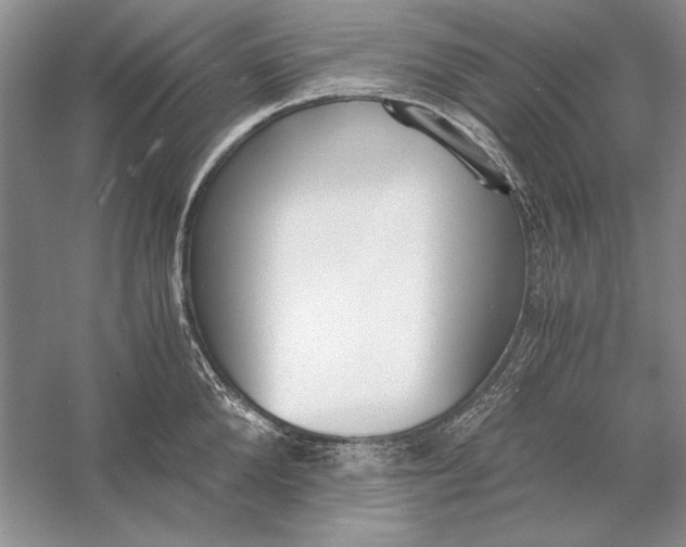 X0000056000904200509092042