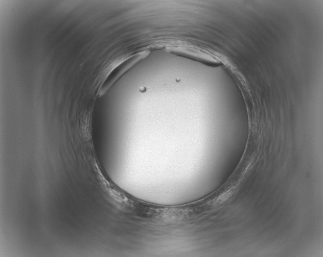 X0000056000905200509092042