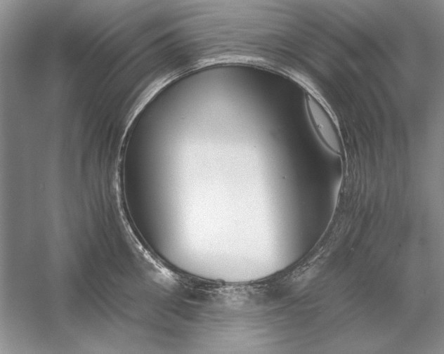 X0000056000906200509092042