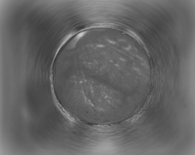 X0000056000907200509092042