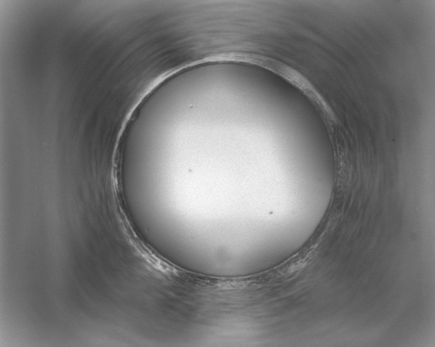 X0000056000908200509092042