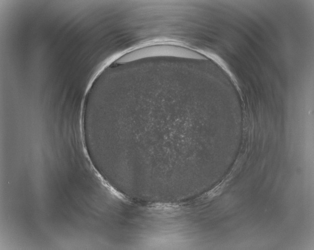 X0000056000910200509092042