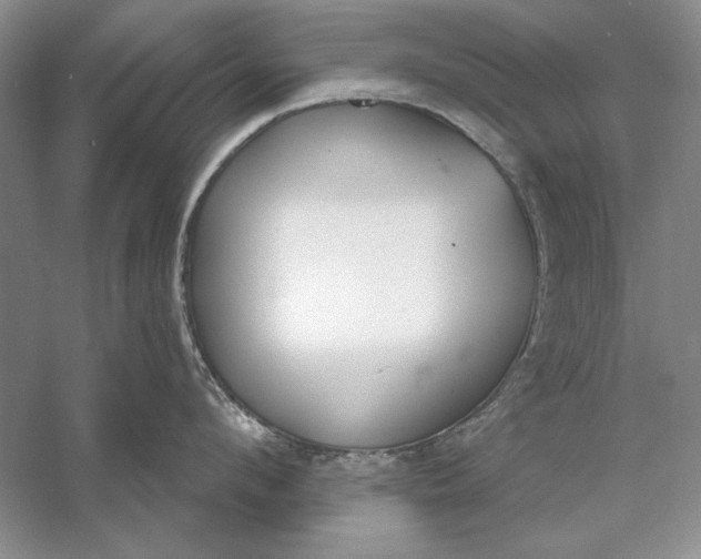 X0000056000912200509092042