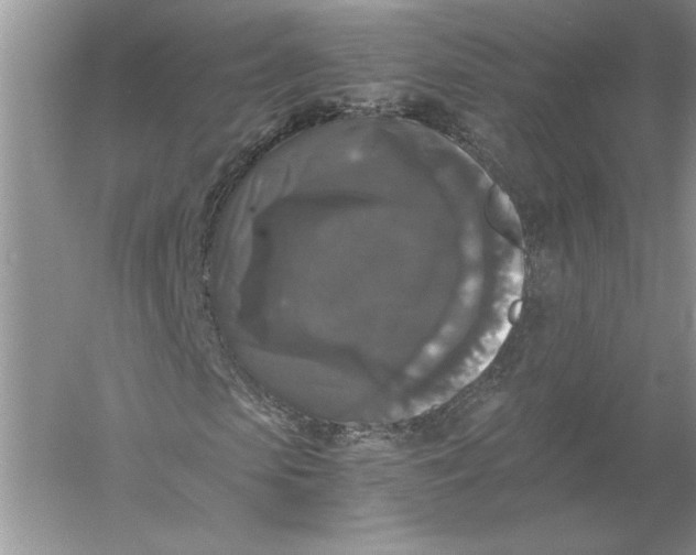 X0000056000913200509092041