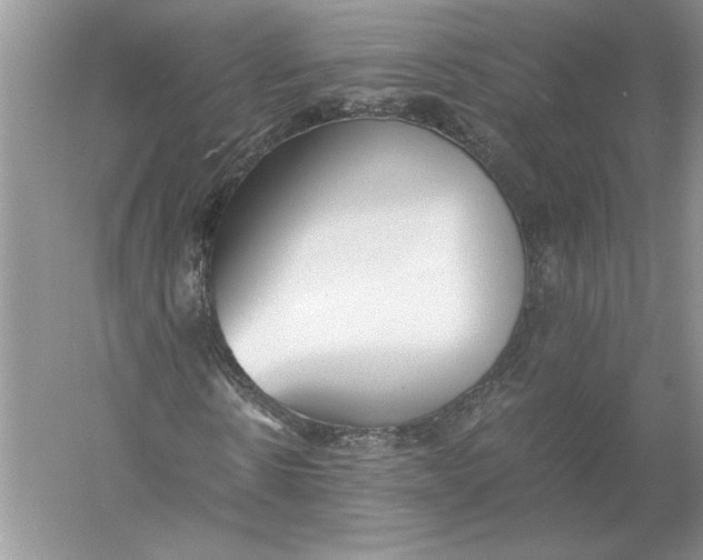 X0000056000914200509092042