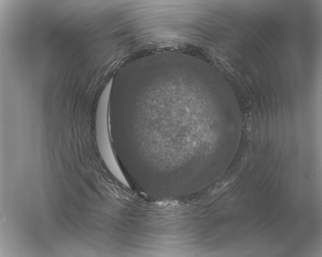 X0000056000916200509092042