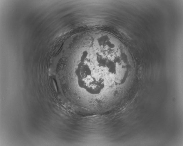 X0000056000917200509092042