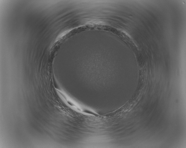 X0000056000919200509092042