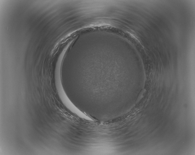 X0000056000920200509092042