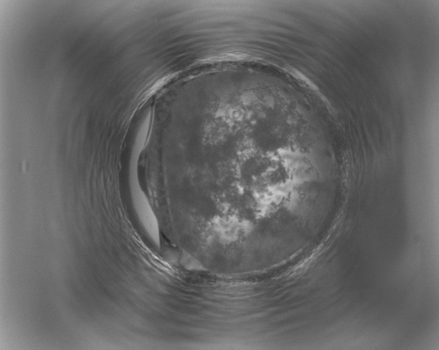 X0000056000921200509092042