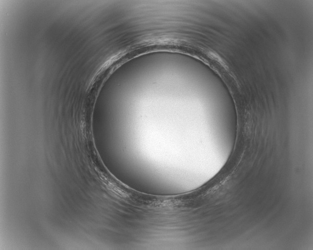 X0000056000922200509092042