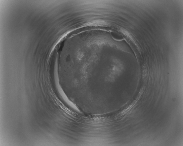 X0000056000923200509092042