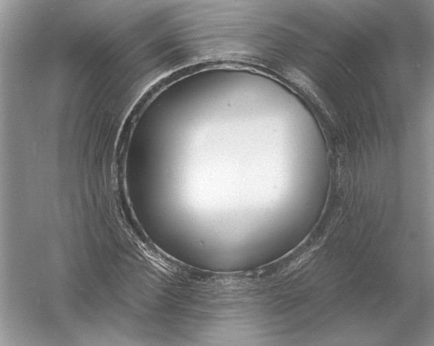 X0000056000924200509092042