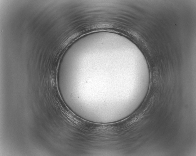 X0000056000929200509092042