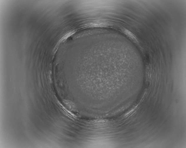 X0000056000930200509092042