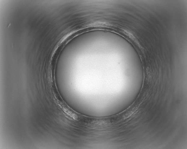 X0000056000931200509092042