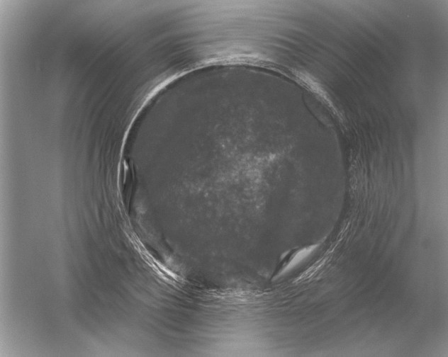 X0000056000932200509092042