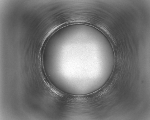 X0000056000933200509092042