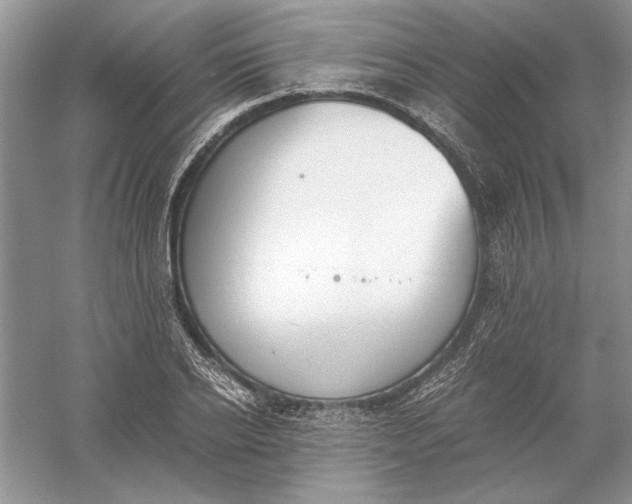 X0000056000934200509092042