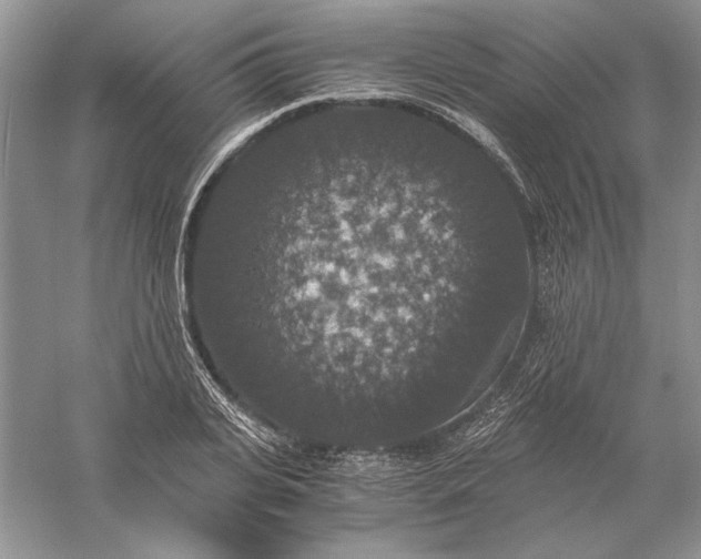 X0000056000935200509092042