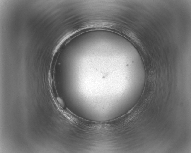 X0000056000936200509092042