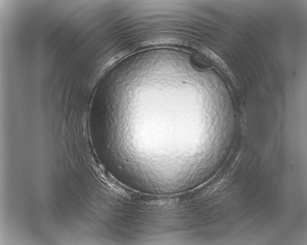 X0000056000937200509092042