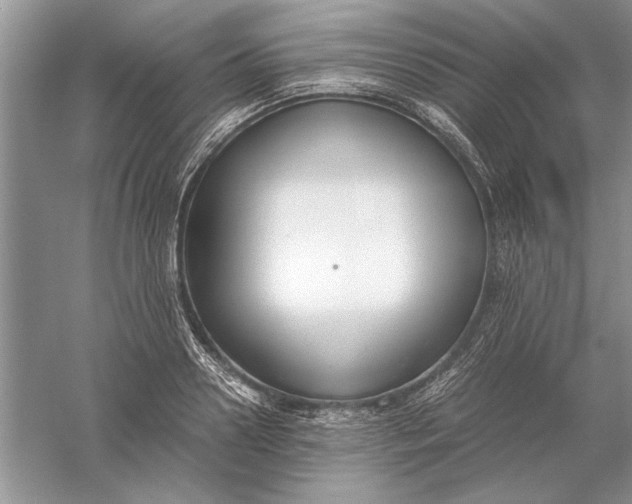 X0000056000938200509092042