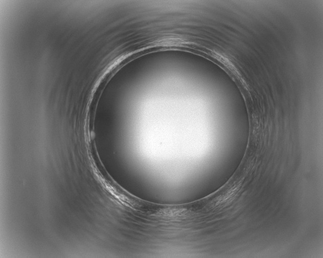 X0000056000939200509092042