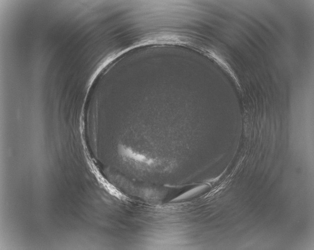 X0000056000944200509092042