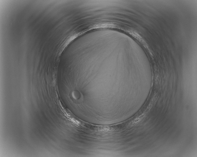 X0000056000945200509092042