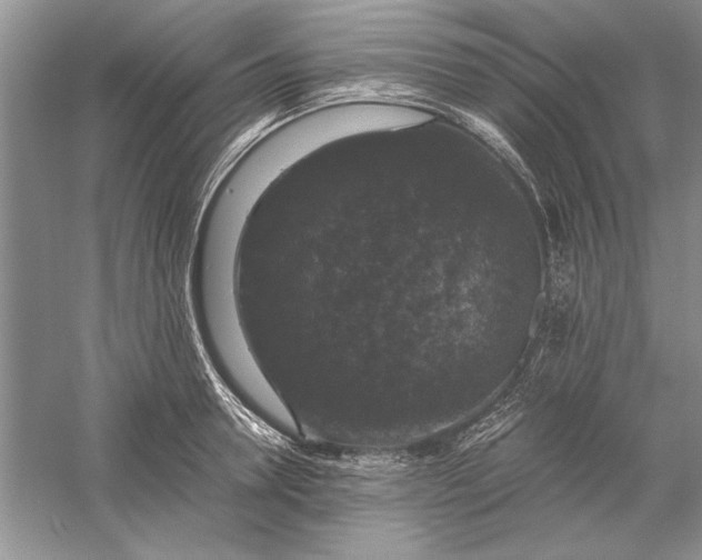 X0000056000946200509092042