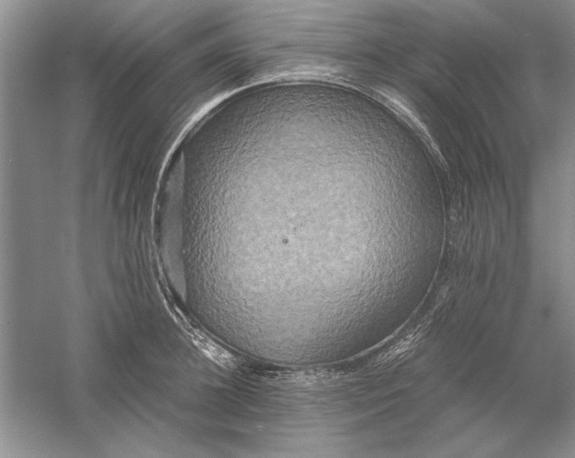 X0000056000948200509092042