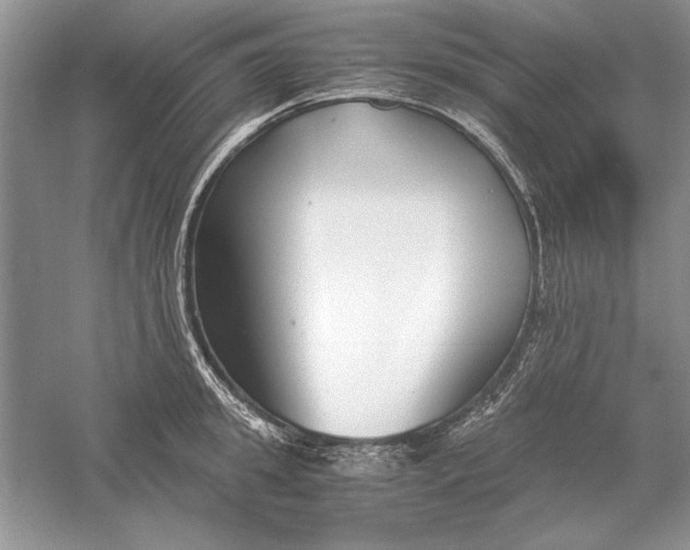 X0000056000949200509092042