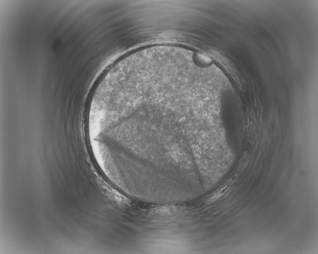 X0000056000950200509092042