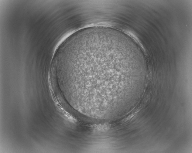 X0000056000952200509092042