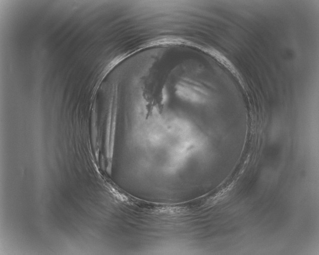 X0000056000953200509092042