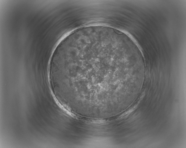 X0000056000957200509092042