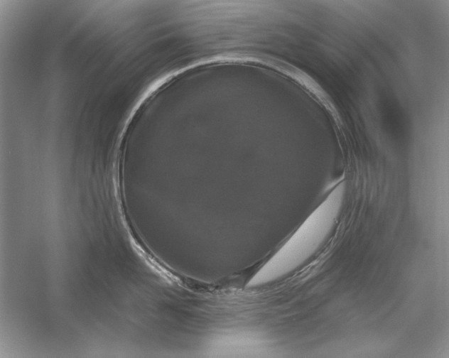 X0000056000958200509092042