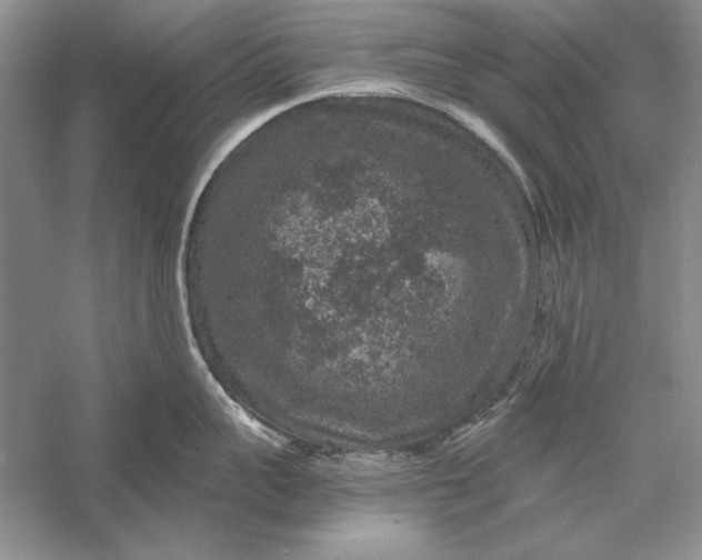 X0000056000959200509092042