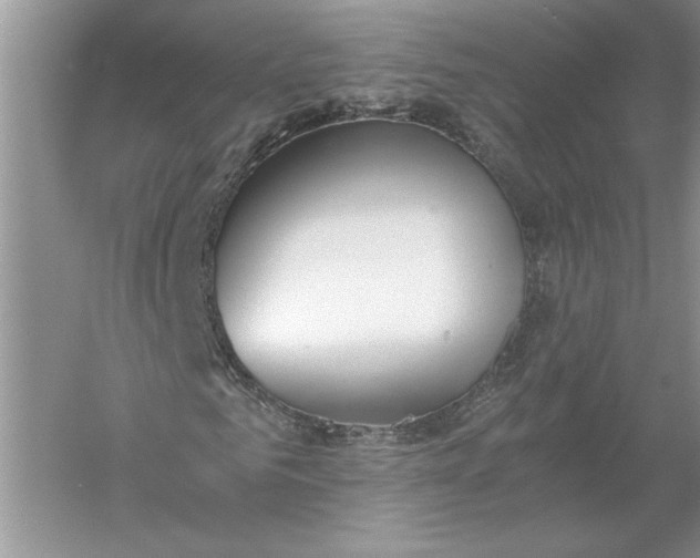 X0000056000961200509092041