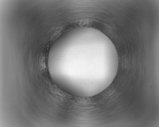 X0000056000962200509092041