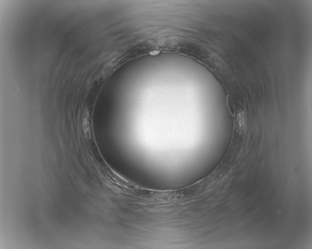 X0000056000963200509092041