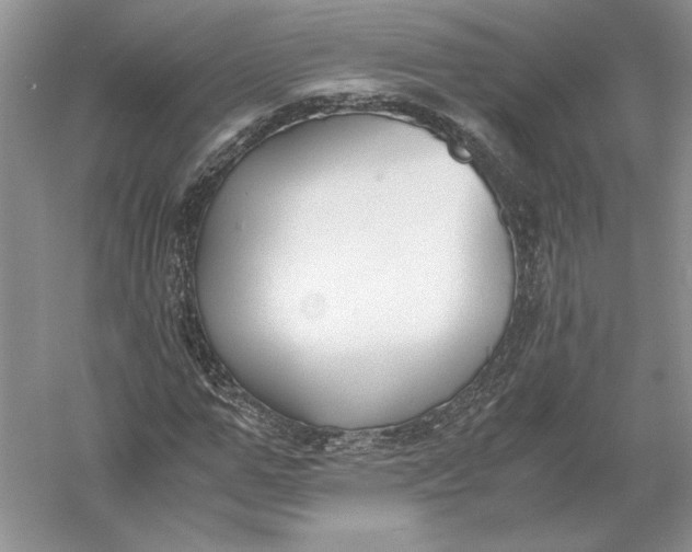 X0000056000967200509092041